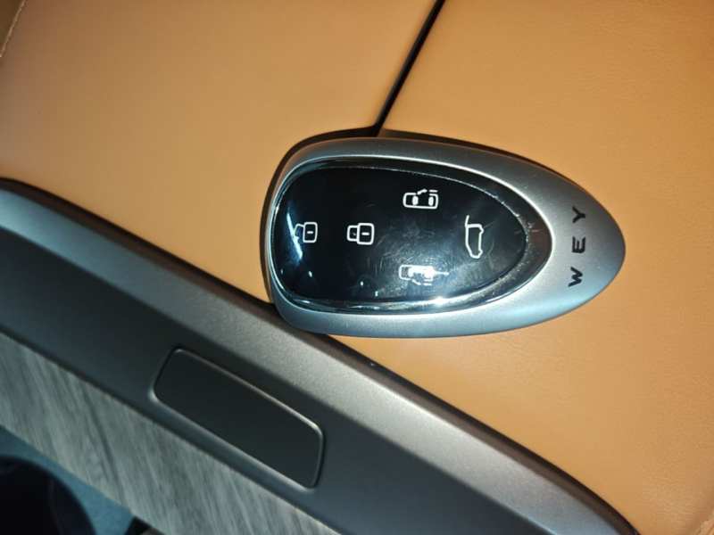 Used Wey Gaoshan 2025 Four-Wheel Drive Alpine 8 — 8
