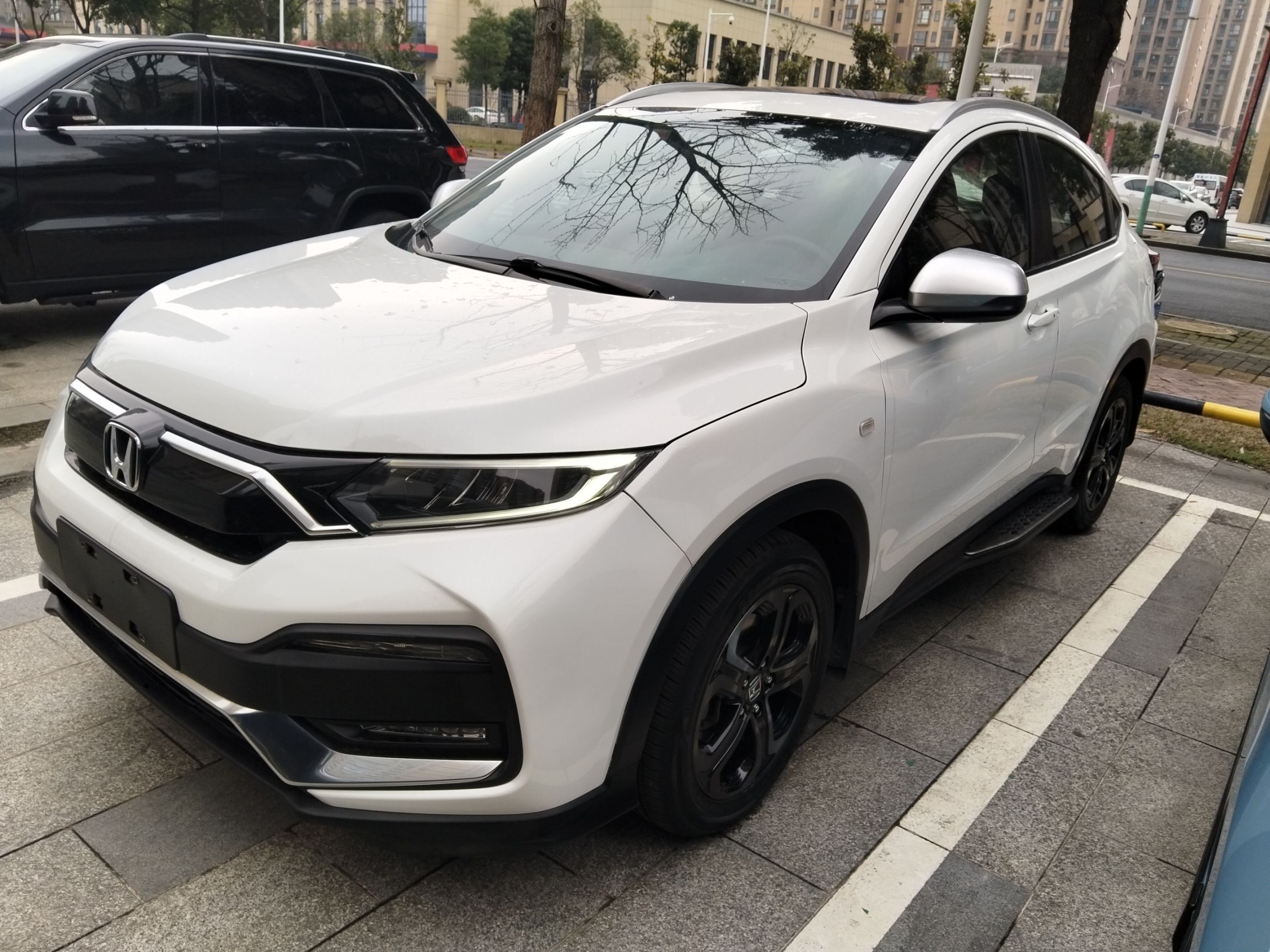 Parte inferior delantera