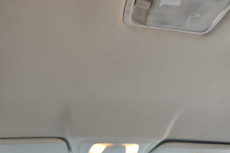 Used Venucia D60EV 2020 Standard Range T3 Headliner