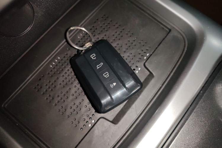 Used Tank 300 2024 2.0T Conqueror
