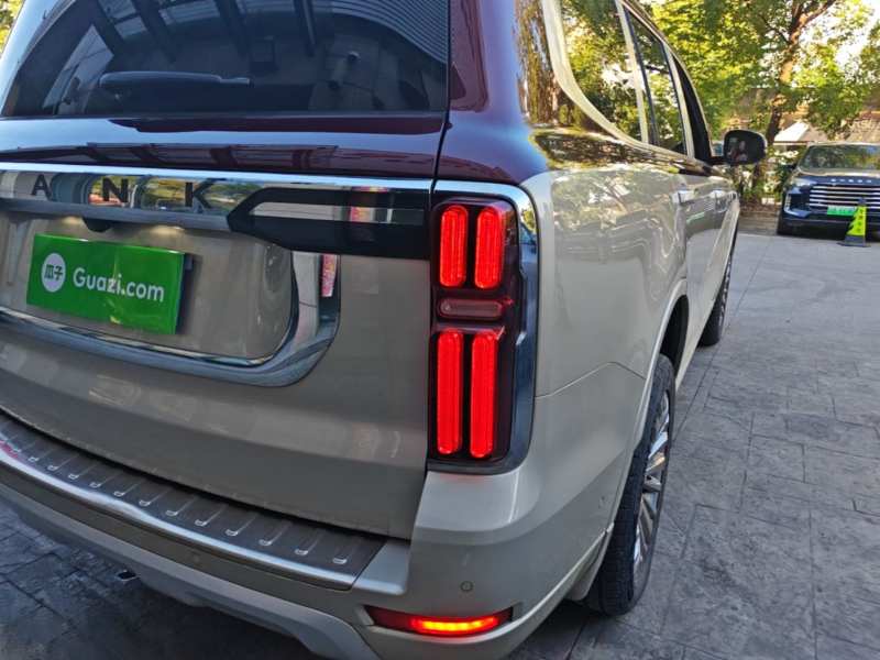 Used Tank 500 2022 3.0T High-End Custom Edition 5 Seats — 7