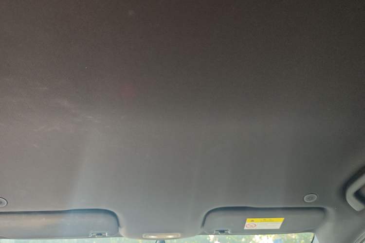 Used BYD Dolphin 2021 405 km Free Version Headliner