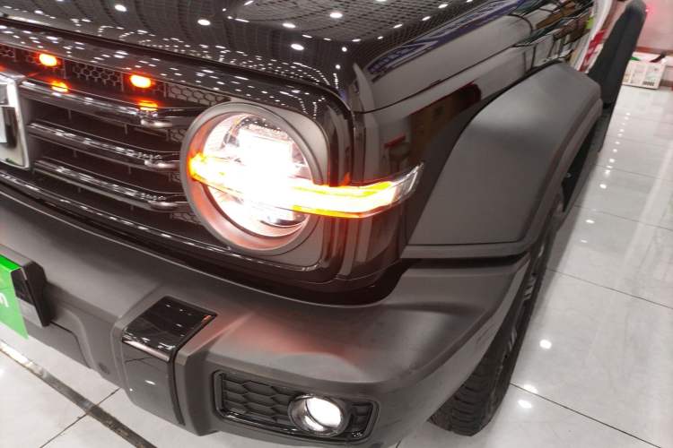 Used Tank 300 2024 2.0T Conqueror