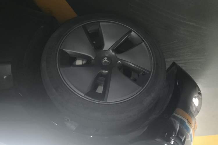 Used Tesla Model 3 2021 Standard Range Rear-Wheel Drive Upgraded Version 3D6
