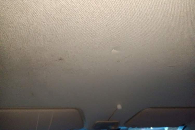 Used Wuling Hongguang 2014 1.5L Base Version Headliner