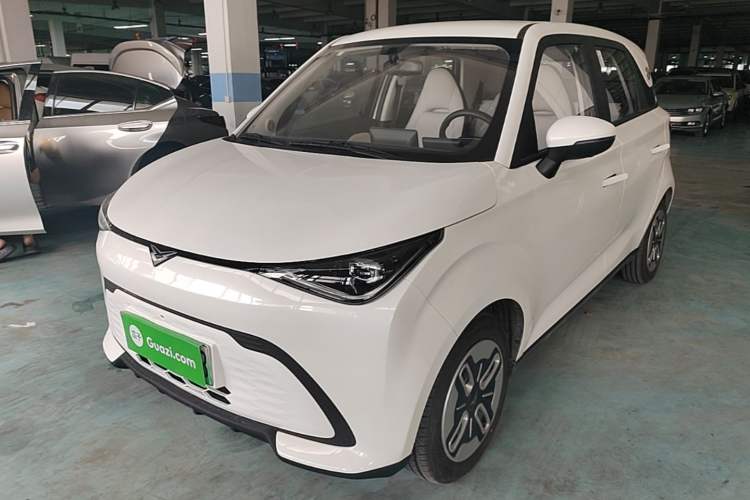 Used Cowin October 2025 Mate 300km Surfing Edition