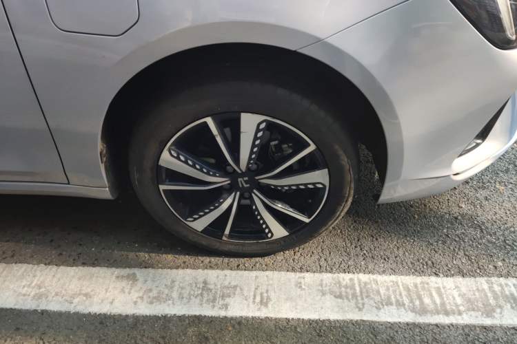 Used Rising ER6 2021 New Dynamic Edition 620km Smart Drive Version