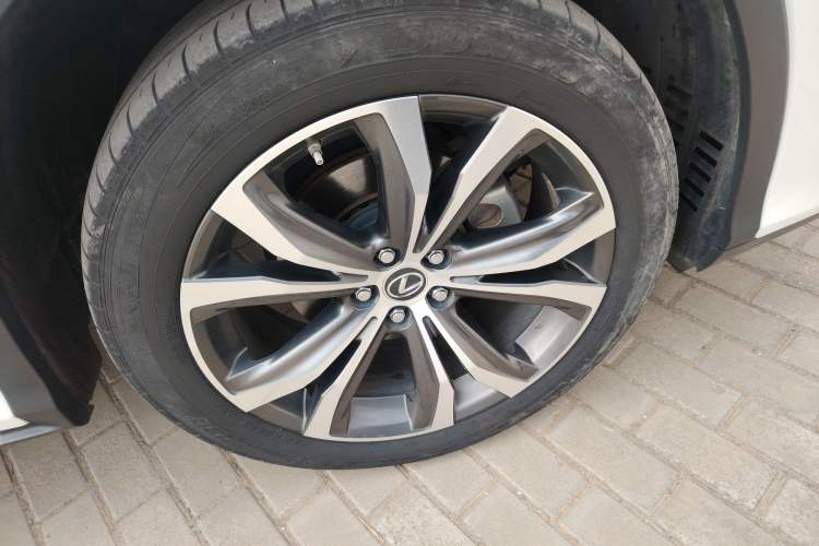 Used Lexus RX 2020 300 4x4 Elegant Edition China VI