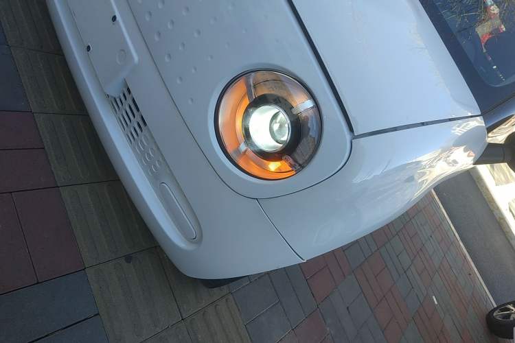 Used ORA Black Cat 2021 301 km Basic Version