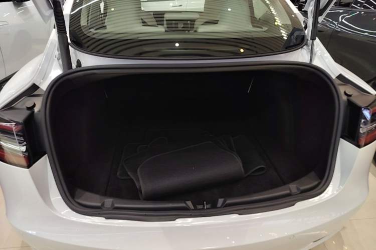 Used Tesla Model 3 2021 Performance High-Performance All-Wheel-Drive Version 3D6