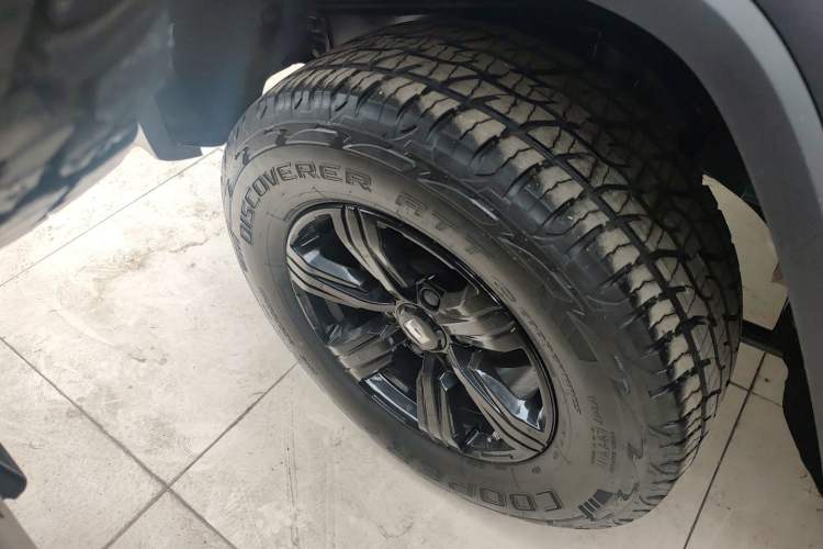 Used Tank 300 2024 2.0T Conqueror
