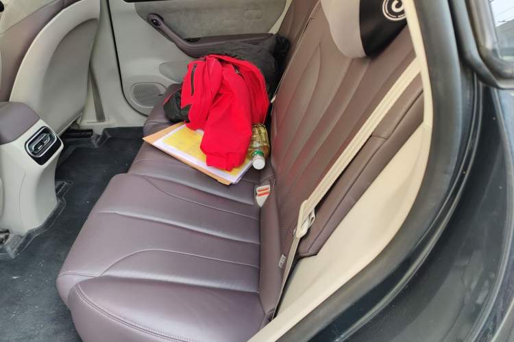 Used Leapmotor C11 2023 Range-Extended 180 Comfort Edition Left Rear Seat