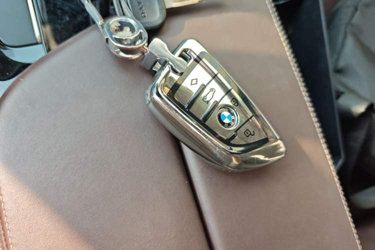 Used BMW 5 Series New Energy 2019 530Le Luxury Package
