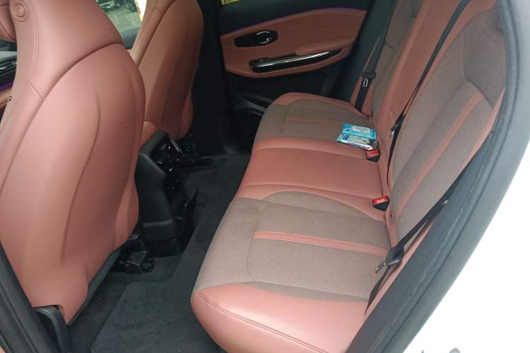 Used Nio EC6 2022 75 kWh Signature Edition Left Rear Seat