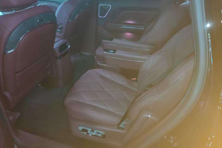 Used VOYAH Titan 2026 Model Max+ Left Rear Seat