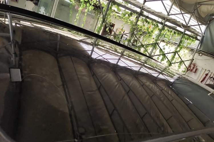 Used Nio ES6 2023 75 kWh
