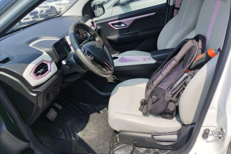 Used SOL E10X 2022 Flower Fairy Design Dandelion