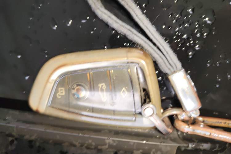 Used BMW 5 Series 2018 528Li Launch Special Edition