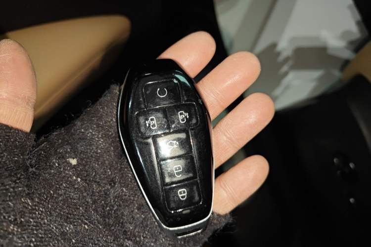 Used Denza D9 2025 DM-i Intelligent Drive 1020 Four-Wheel Drive Flagship Model
