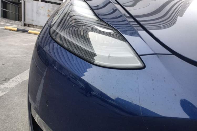 Used Tesla Model Y 2021 Long-Range All-Wheel-Drive Version 3D7