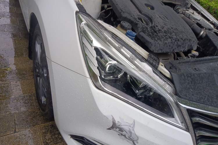 Used CHANGAN Eado DT 2019 1.6L Manual Enjoyment Model China VI Standard