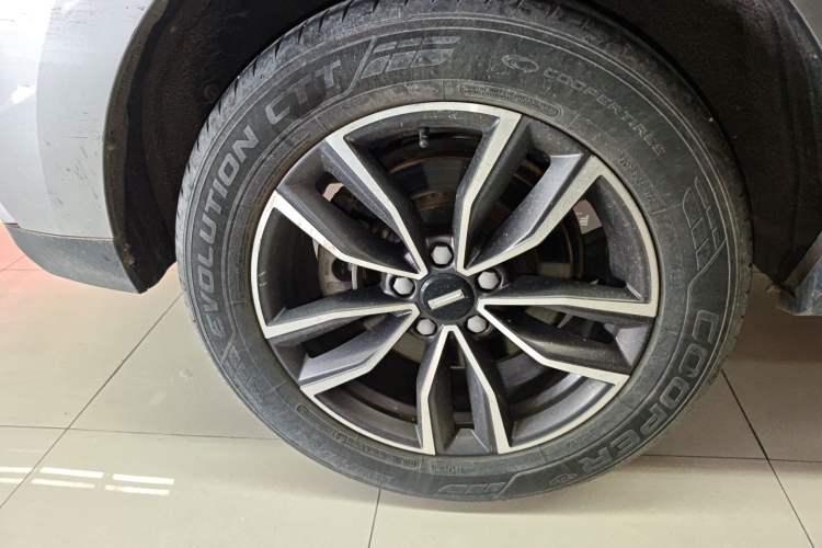 Used Wey VV5 2021 1.5T Two-Wheel Drive Color Pioneer