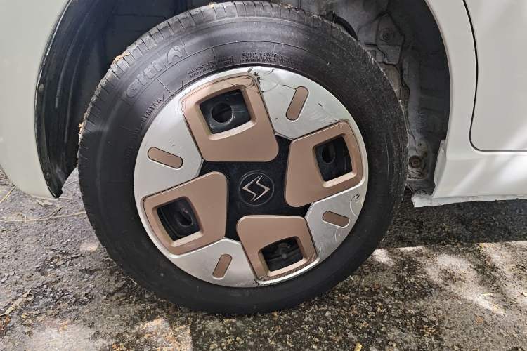 Used SOL E10X 2022 Flower Fairy Design Dandelion
