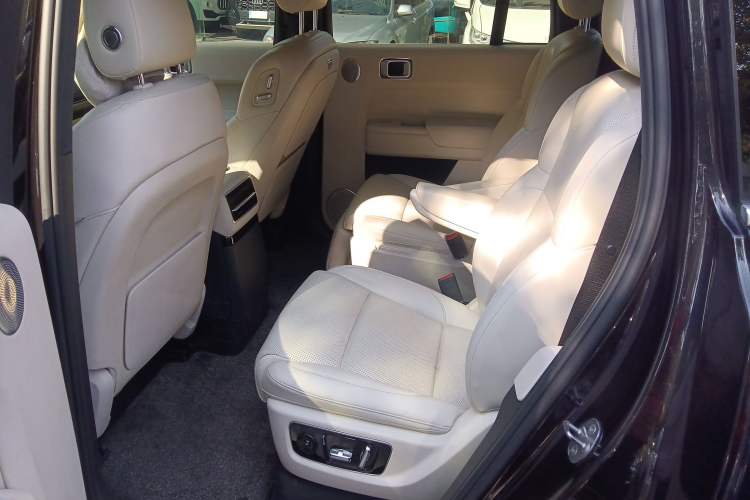 Used Li Auto L9 2023 Pro Model Left Rear Seat