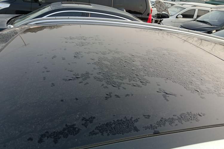 Used Alfa Romeo Stelvio 2017 2.0T 200HP Luxury Edition