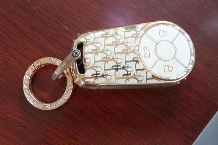 Used ORA White Cat 2020 401 km Long-Range Version