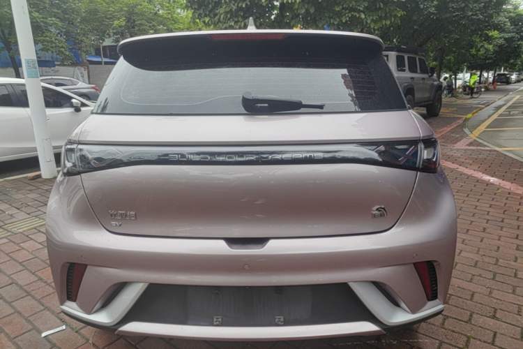 Used BYD Dolphin 2023 420 km Free Version