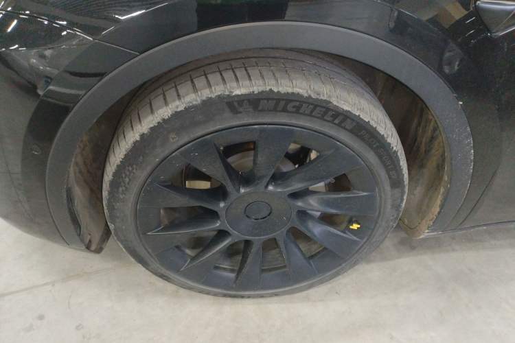 Used Tesla Model Y 2021 Standard Range Rear-Wheel Drive Version
