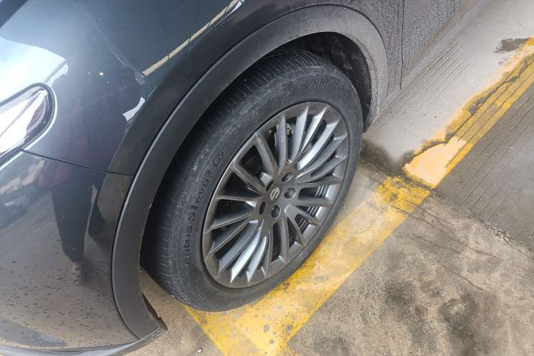 Used Leapmotor C11 2023 Pure Electric 500 Smart Edition
