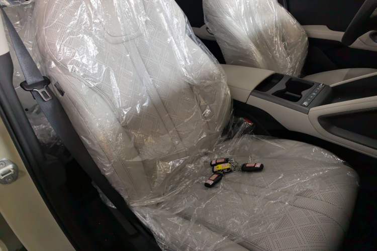 Used BYD Yuan UP 2025 Model 301KM Leading Version