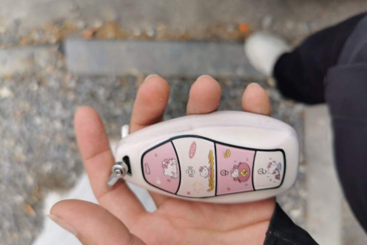 Used Hongqi H5 2025 1.5T DCT Qiyun 500 000th Unit Commemorative Edition