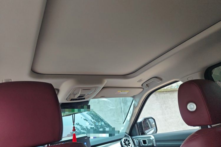 Used Tank 400 New Energy 2024 Hi4-T Off-Road Edition Headliner