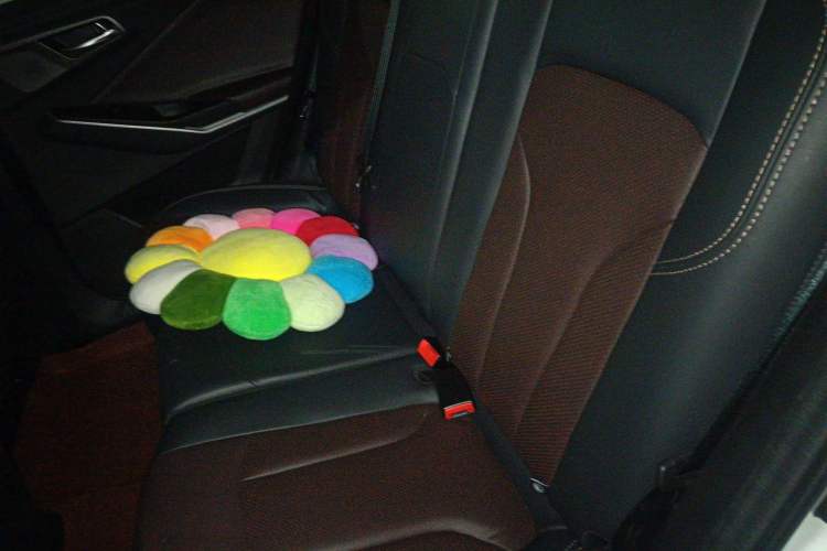 Used CHANGAN CS15 2019 1.5L Manual Entry-Level Version China V Standard Left Rear Seat