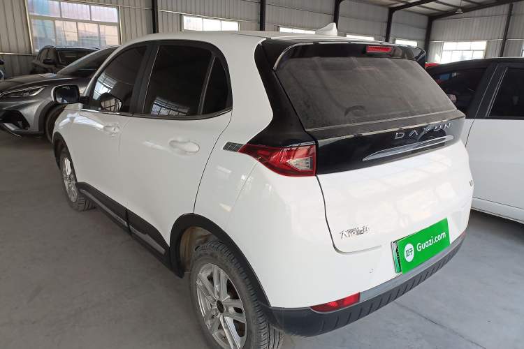 Used Dayun Yuehu 2023 300 Standard Edition
