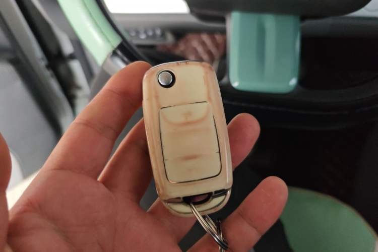 Used Qiyuan Lumin 2023 205km Xiangqin Version
