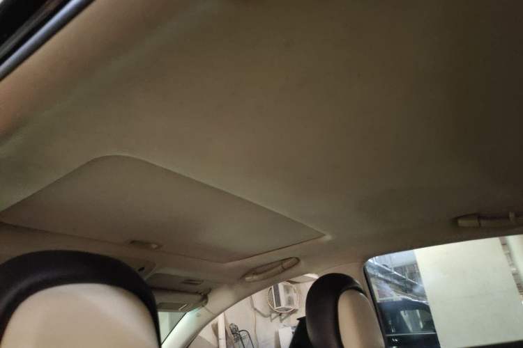 Used Lexus GS 2008 300 Headliner
