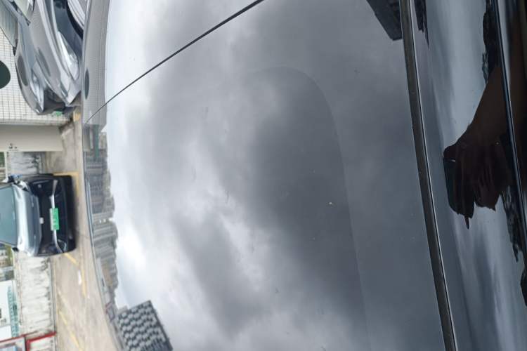 Used Tesla Model 3 2021 Performance High-Performance All-Wheel-Drive Version Roof