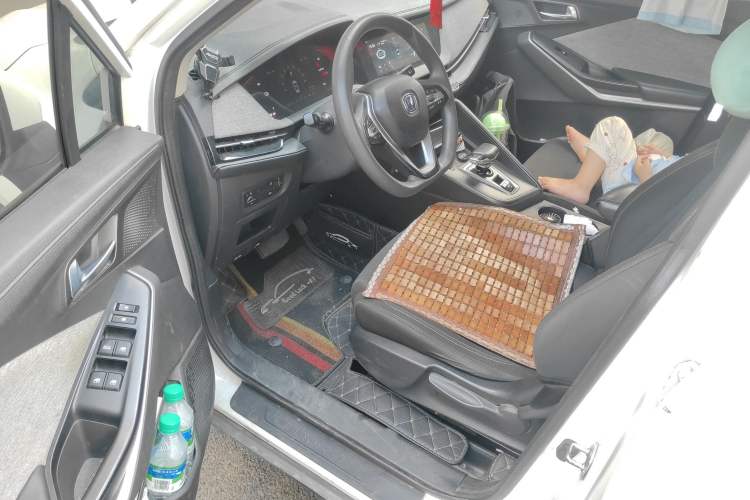 Used CHANGAN E-Pro 2020 High-Performance Edition
