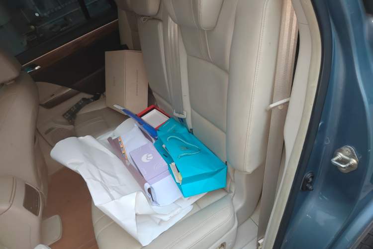 Used GAC Trumpchi GS8 2017 320T Two-Wheel Drive Luxury Smart Connectivity Version (7 Seats) Left Rear Seat