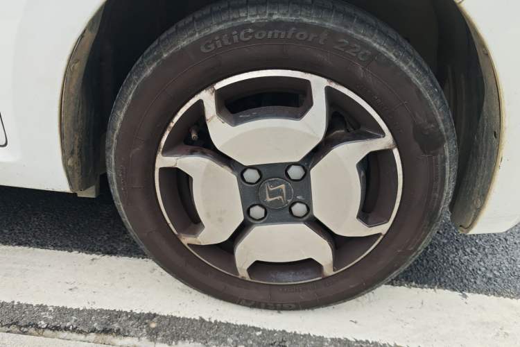 Used SOL E10X 2022 Flower Fairy Style Baby's Breath