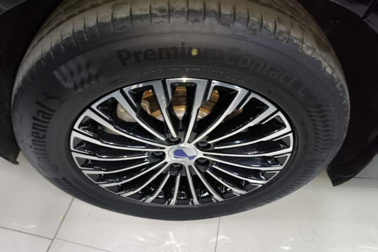 Used Denza D9 2022 DM-i 970 Four-Wheel Drive Flagship Model Exterior 2