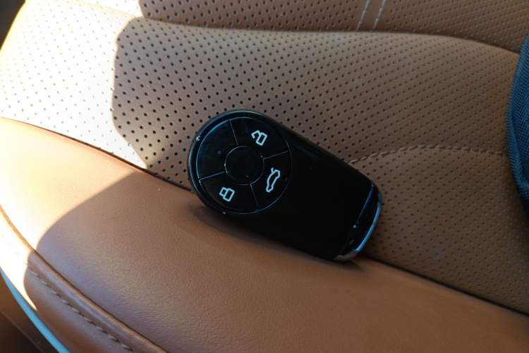 Used ORA Lightning Cat 2022 555 km Luxury Edition
