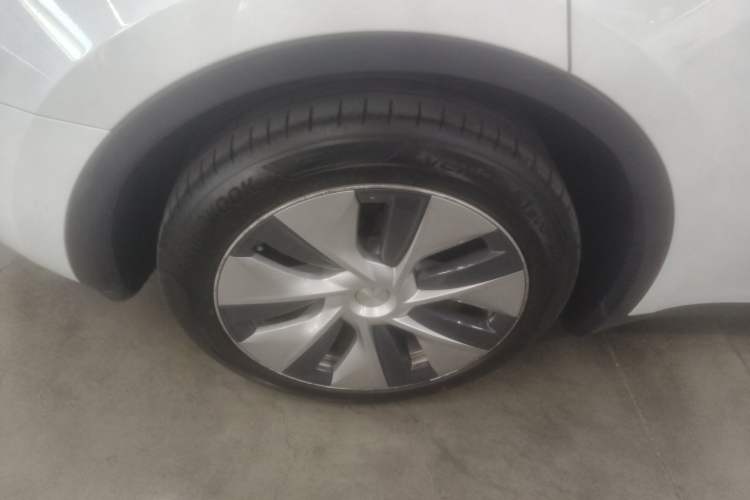 Used Tesla Model Y 2021 Standard Range Rear-Wheel Drive Version
