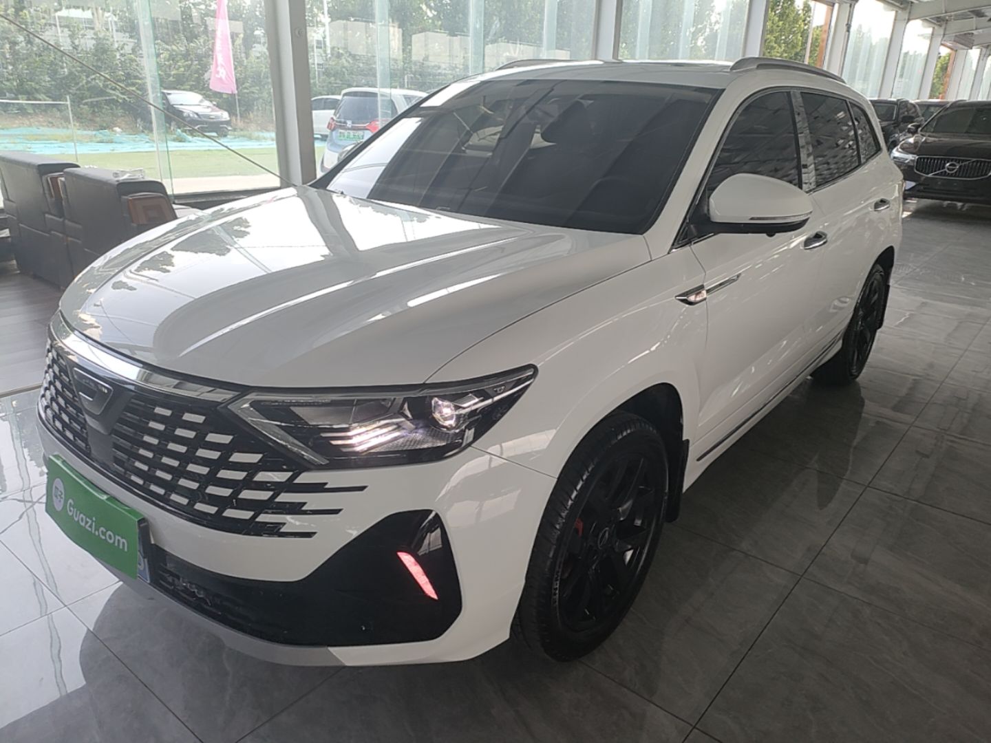 Under Front Bumper