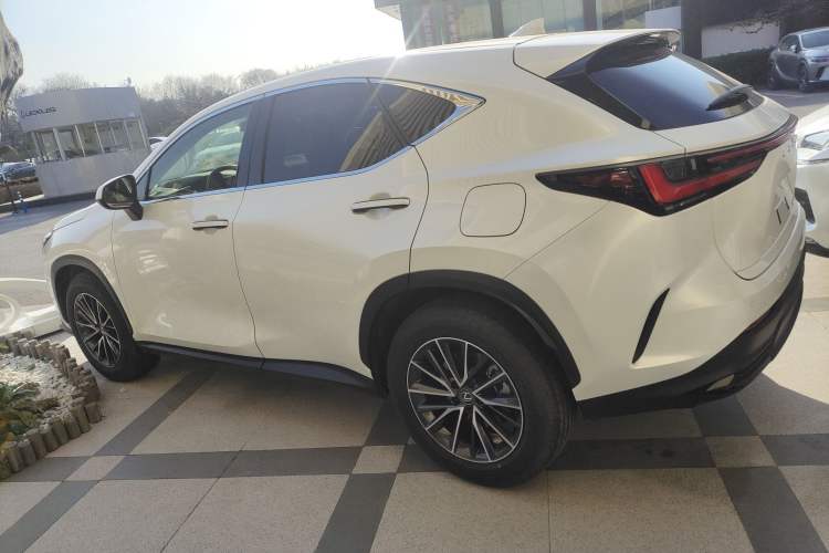 Used Lexus NX 2024 260 Front-Wheel Drive Chuanchi Edition