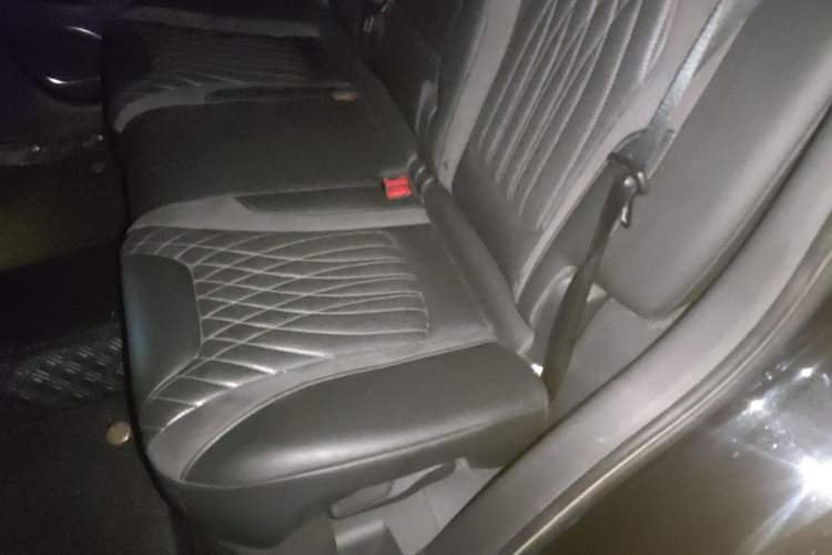 Used Hongqi HS5 2023 2.0T Qixiang Pro Edition
